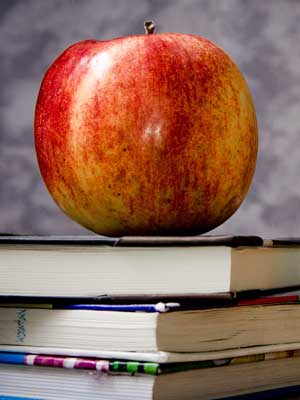 专业软件的短信轰炸机网页版